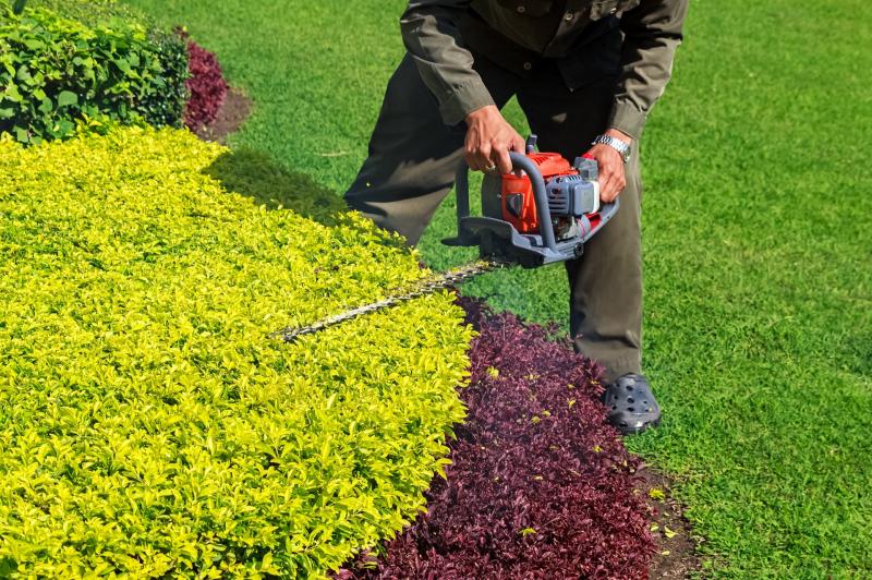 The Importance of Landscape Maintenance on a Commercial Property