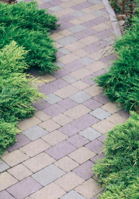 What is the Right Way of Cleaning and Maintaining Paver Walkways