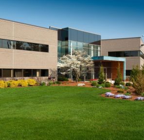 Importance of Proper Landscape Maintenance to Enhance the Appearance and Functionality of a Property